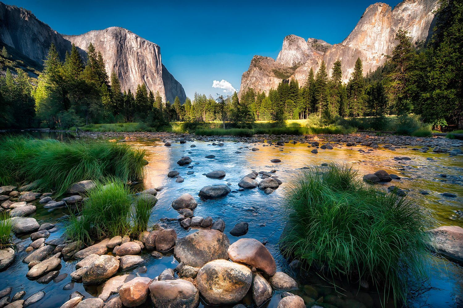 Fotomurales: Parque nacional Yosemite