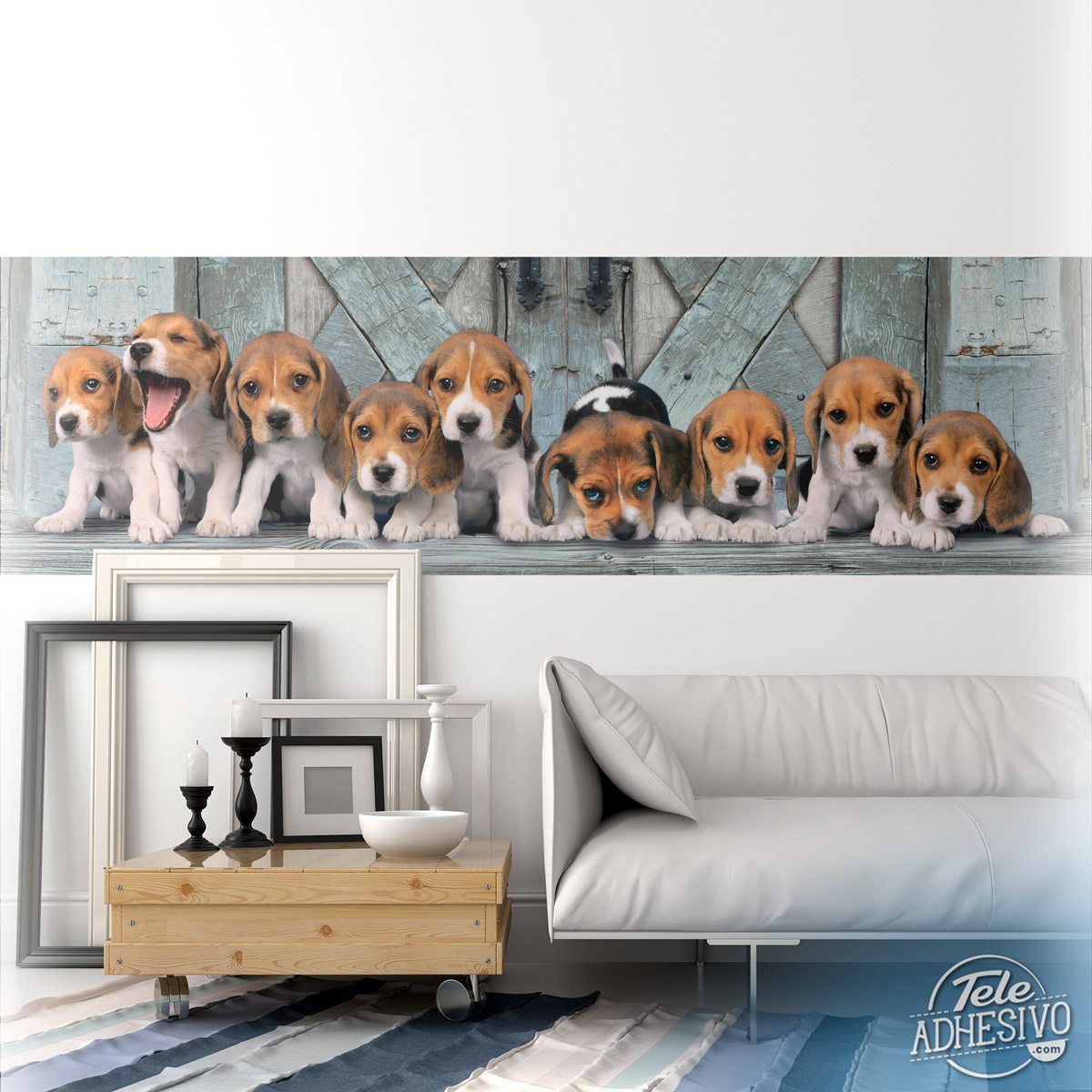 Fotomurales: Cachorros de beagles