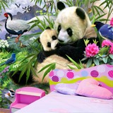 Fotomurales: Oso Panda 3