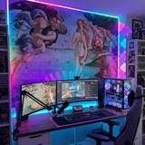 Fotomurales: Nacimiento de venus, Botticelli 16