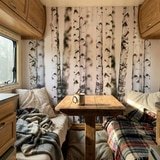 Fotomurales: Bosque de Abedul 21