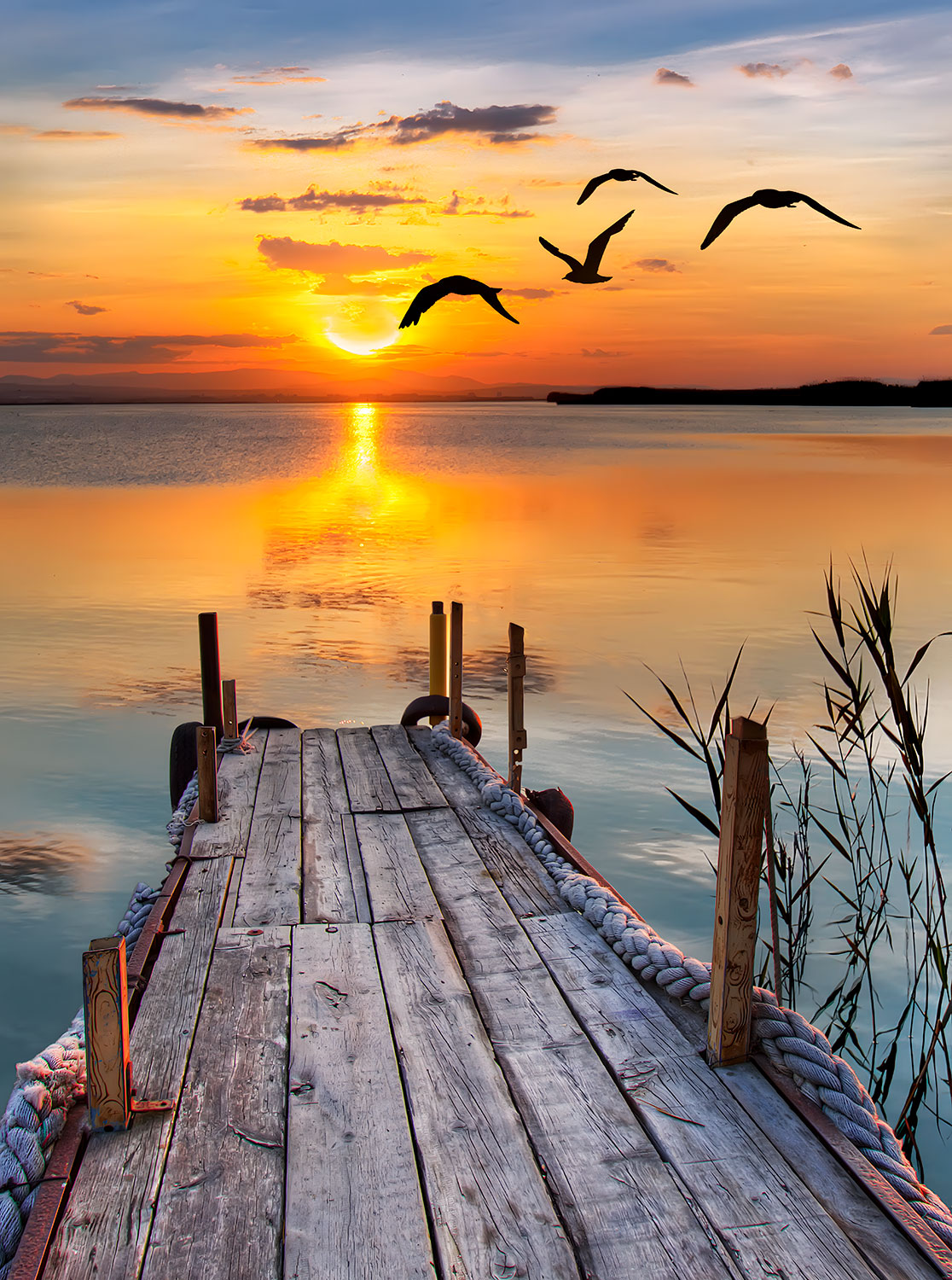 Fotomurales: Atardecer en el embarcadero