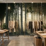 Fotomurales: Resplandor en el bosque 12