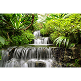 Fotomurales: Cascadas en el jard&iacute;n tropical