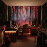 Fotomurales: El Bosque Rojo 19