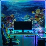 Fotomurales: Tortuga en las corrientes marinas 9