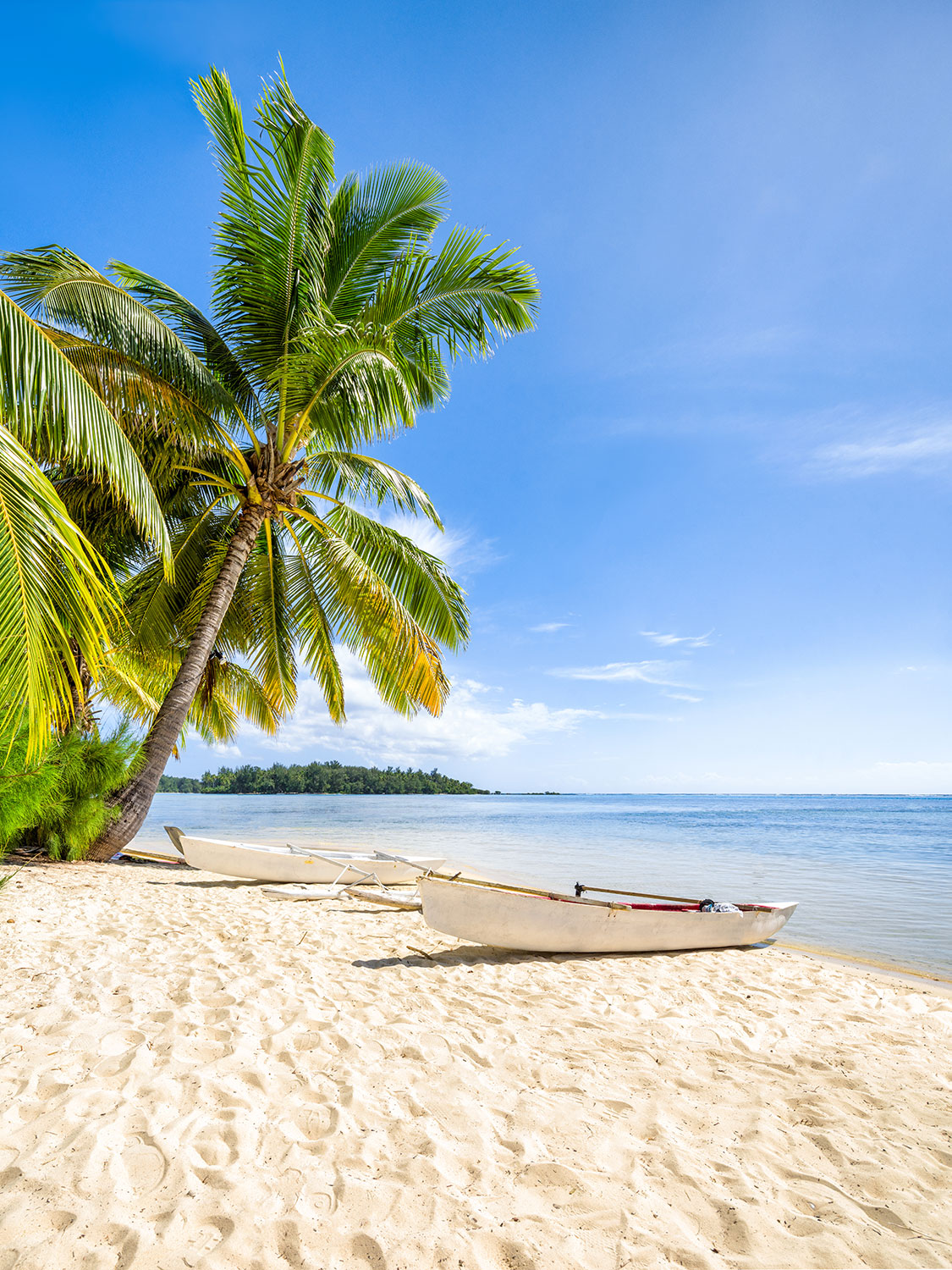Fotomurales: Canoas en el Caribe
