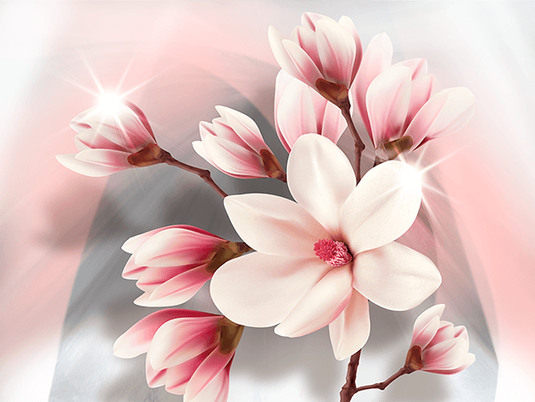 Fotomurales: Magnolias brillantes