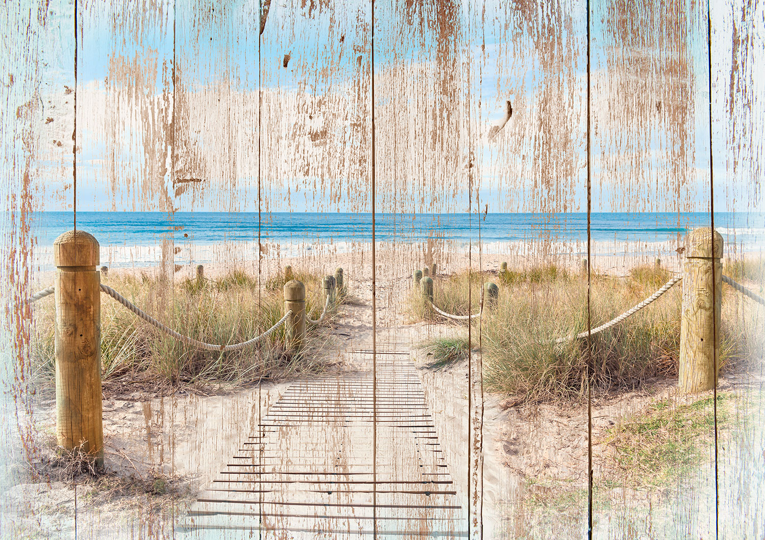 Fotomurales: Camino hac&iacute;a la playa