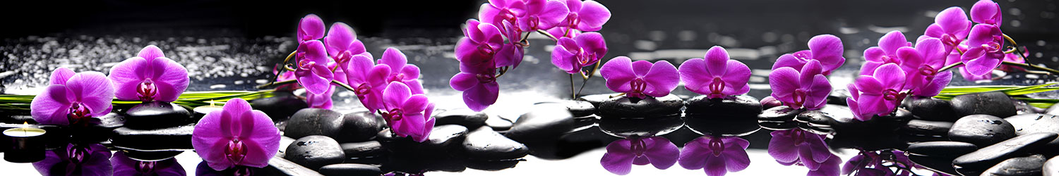 Fotomurales: Orqu&iacute;deas Moradas