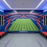 Fotomurales: Estadio Parque de los Pr&iacute;ncipes Paris Saint-Germai 6