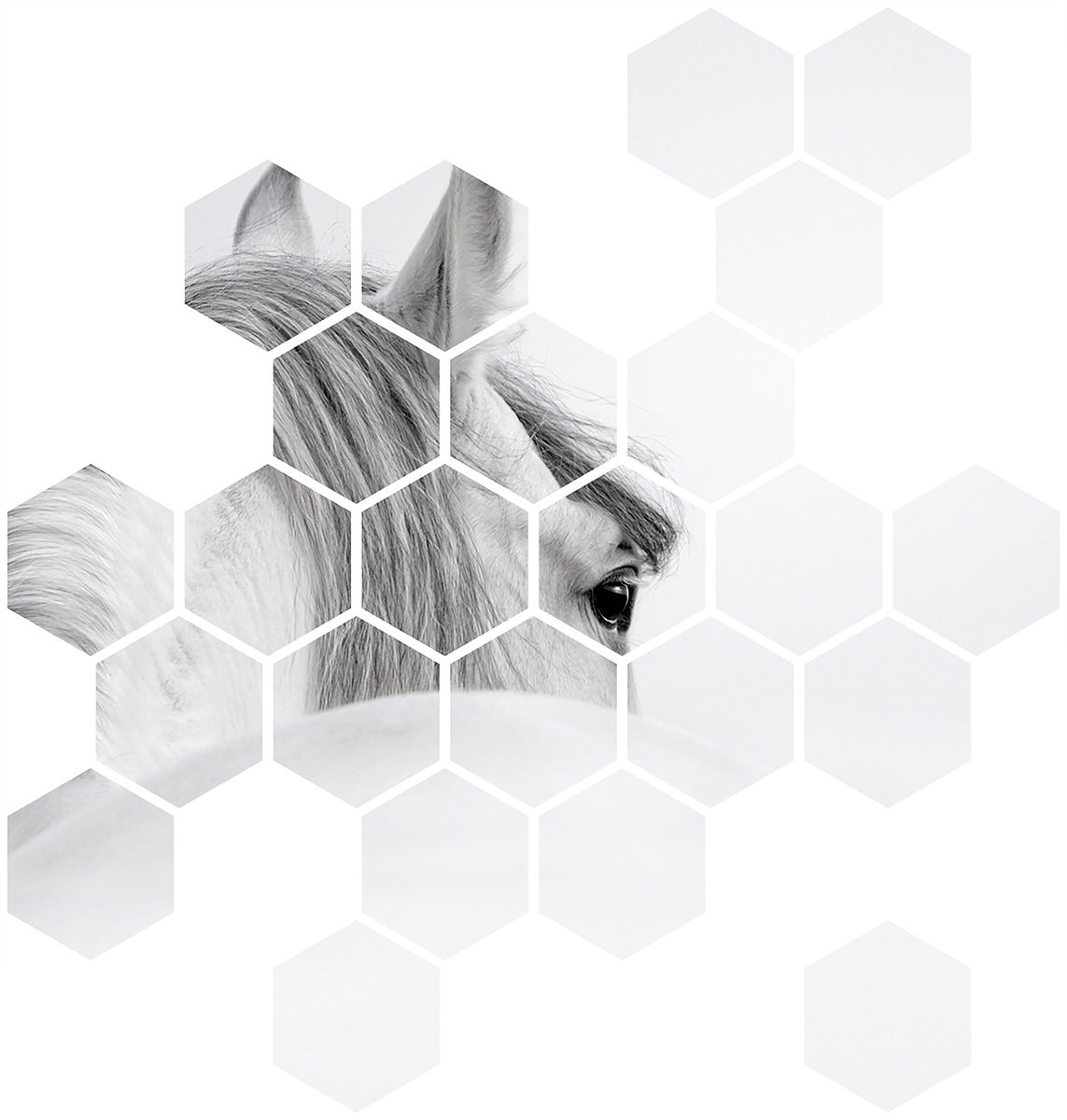 Vinilos Decorativos: Kit Geométrico Caballo blanco 0