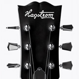 Pegatinas: Hagstrom 2