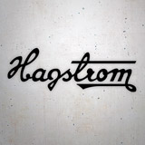 Pegatinas: Hagstrom 3