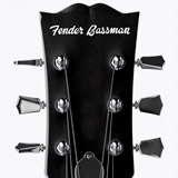 Pegatinas: Fender Bassman 2