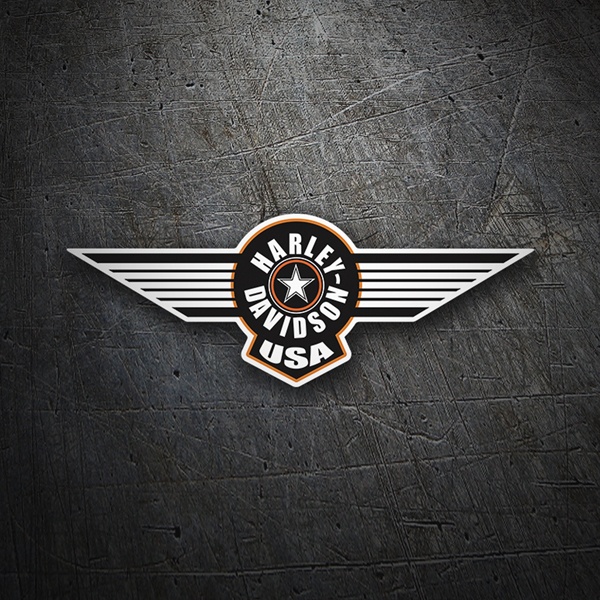 Pegatinas: Harley Davidson USA