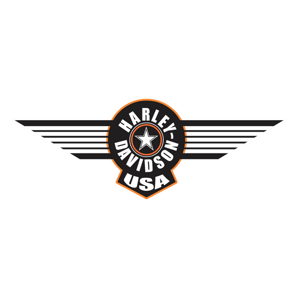 Pegatinas: Harley Davidson USA