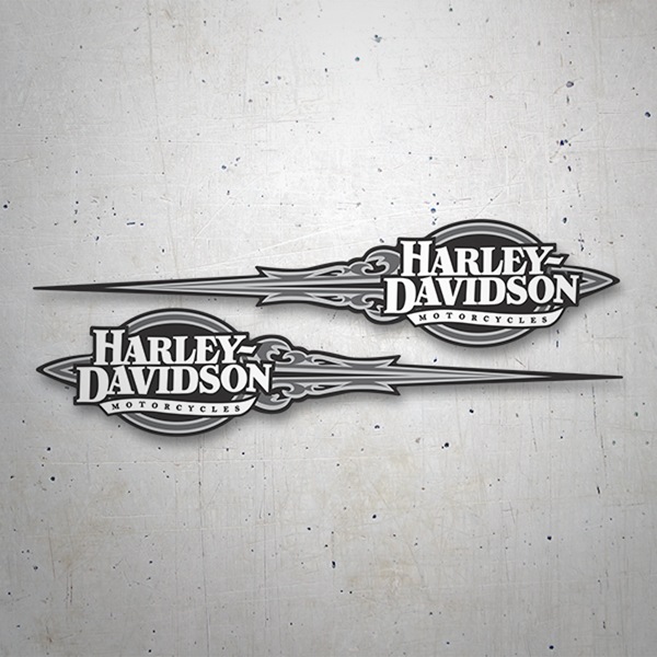 Pegatinas: Kit Harley Davidson adrenalina gris