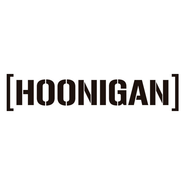 Pegatinas: Hoonigan