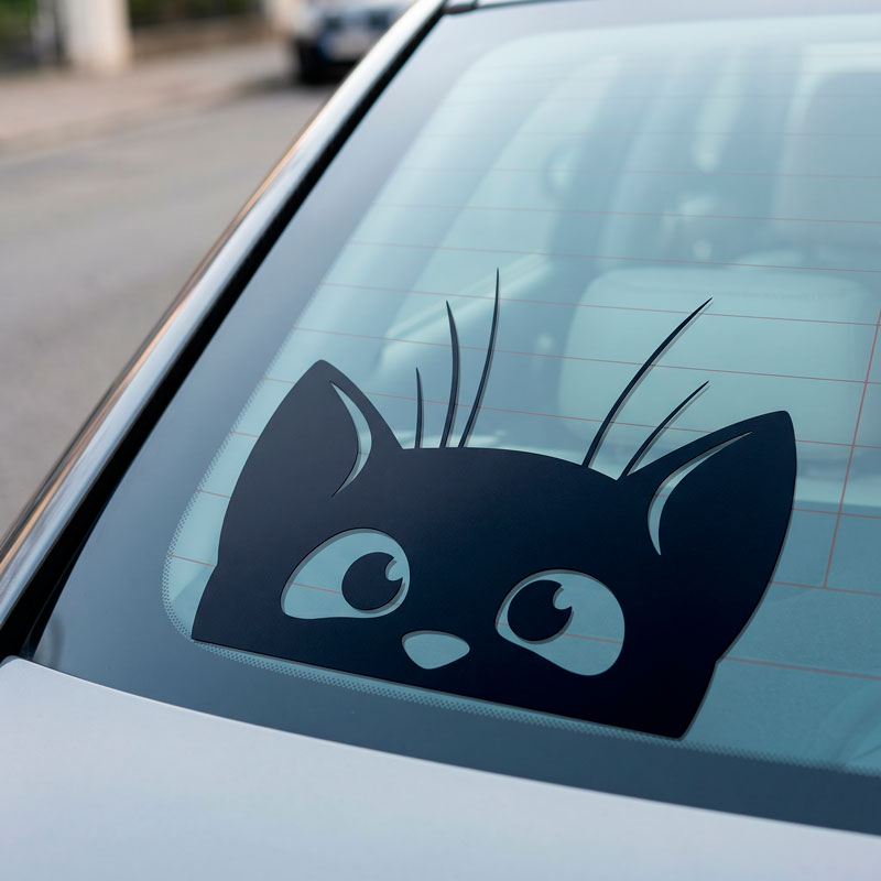 Gato Asomado 2