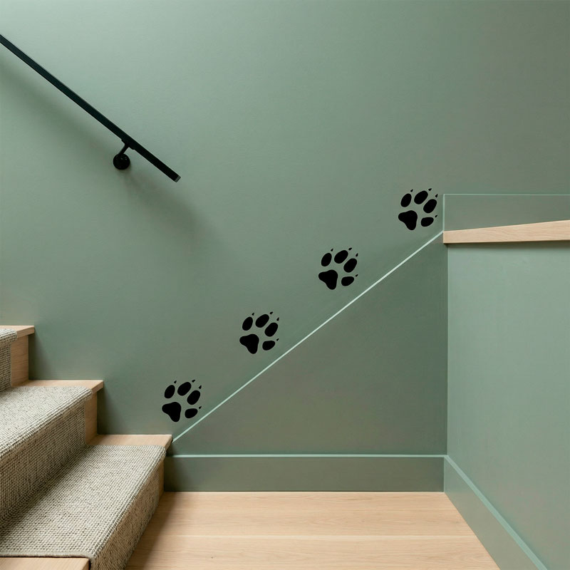 Kit 4 huellas de Perro 9/9