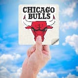Pegatinas: NBA - Chicago Bulls escudo 5