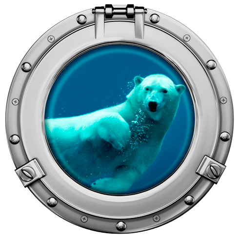 Vinilos Decorativos: Ojo de buey oso polar nadando