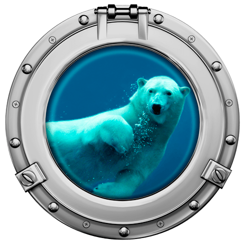 Vinilos Decorativos: Oso polar nadando