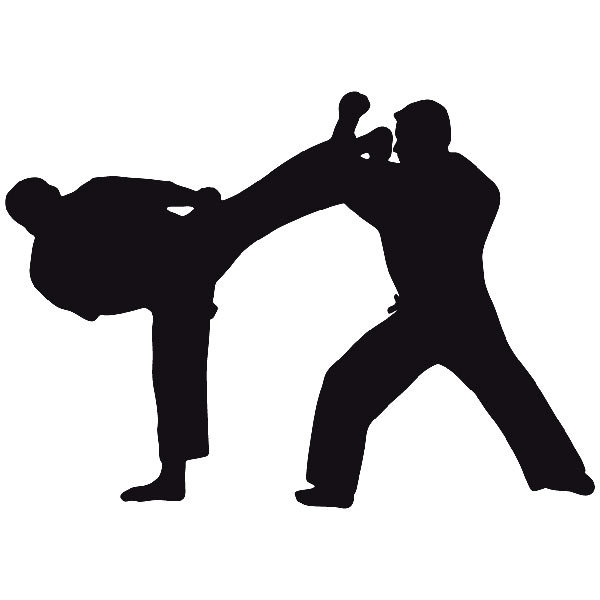 Vinilos Decorativos: Combate de Judo