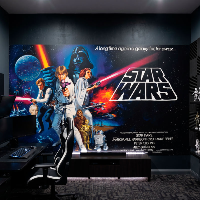 Star Wars a Long Time ago 8