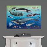 Vinilos Decorativos: Fauna Oceánica 3