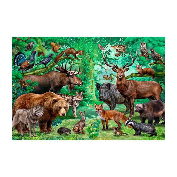 Vinilos Decorativos: Animales del Bosque