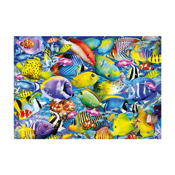 Vinilos Decorativos: Peces de Colores