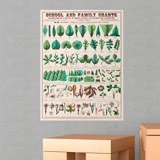 Vinilos Decorativos: School and Family Charts 3