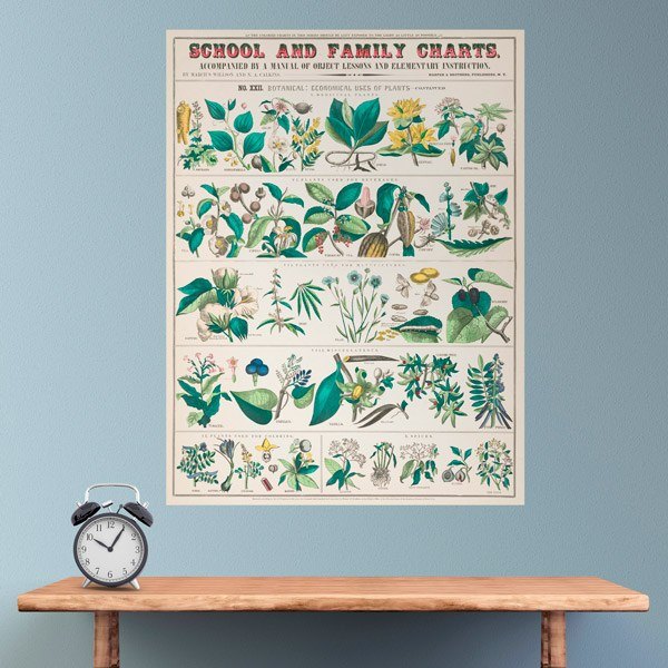 Vinilos Decorativos: School and Family Charts II