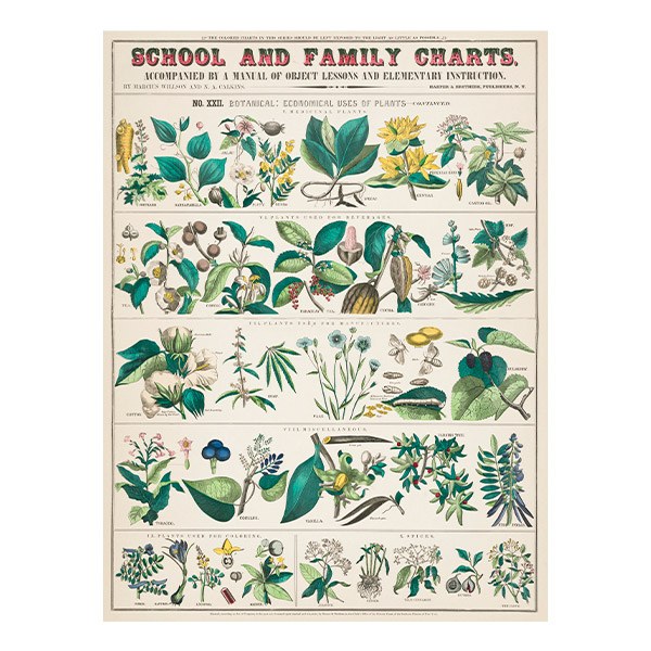 Vinilos Decorativos: School and Family Charts II