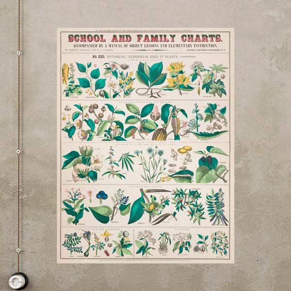 Vinilos Decorativos: School and Family Charts II