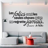 Vinilos Decorativos: On Regrette Jamais ses Folies 2