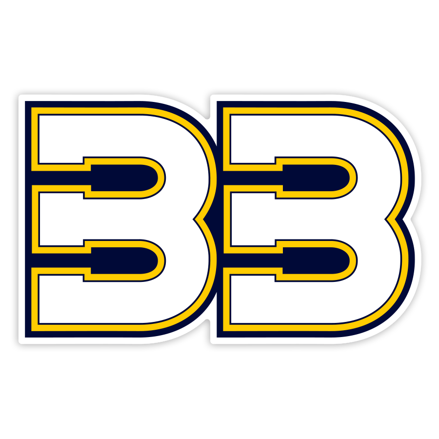 Pegatinas: N&uacute;mero 33 de Brad Binder en Formato Bold