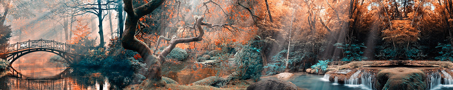 Fotomurales: Bosque y puente en oto&ntilde;o