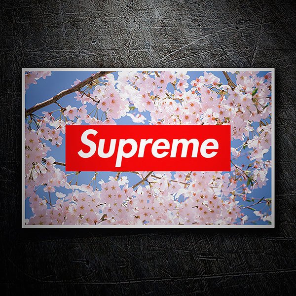 Pegatinas: Supreme almendro