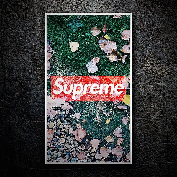 Pegatinas: Supreme otoño