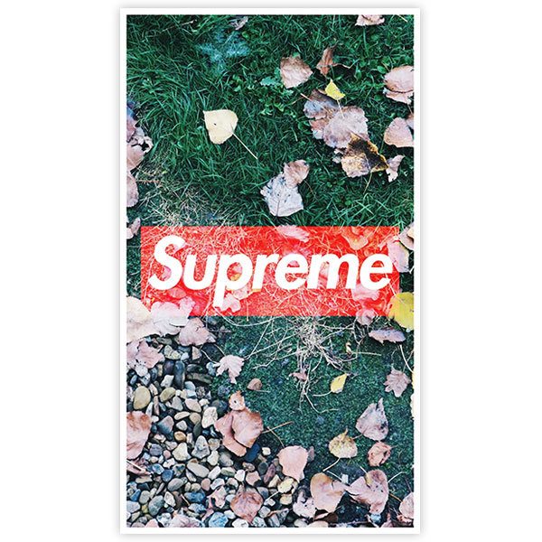 Pegatinas: Supreme otoño