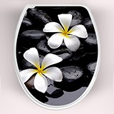 Vinilos Decorativos: Tapa WC flores frangipani 3