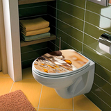 Vinilos Decorativos: Tapa wc Piedras agua zen 6