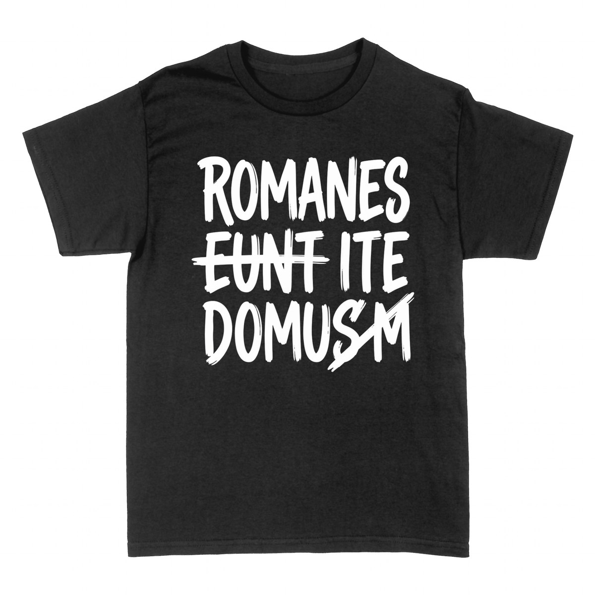 Camisetas: Romanes Eunt Domusm &mdash; Lat&iacute;n Cl&aacute;sico