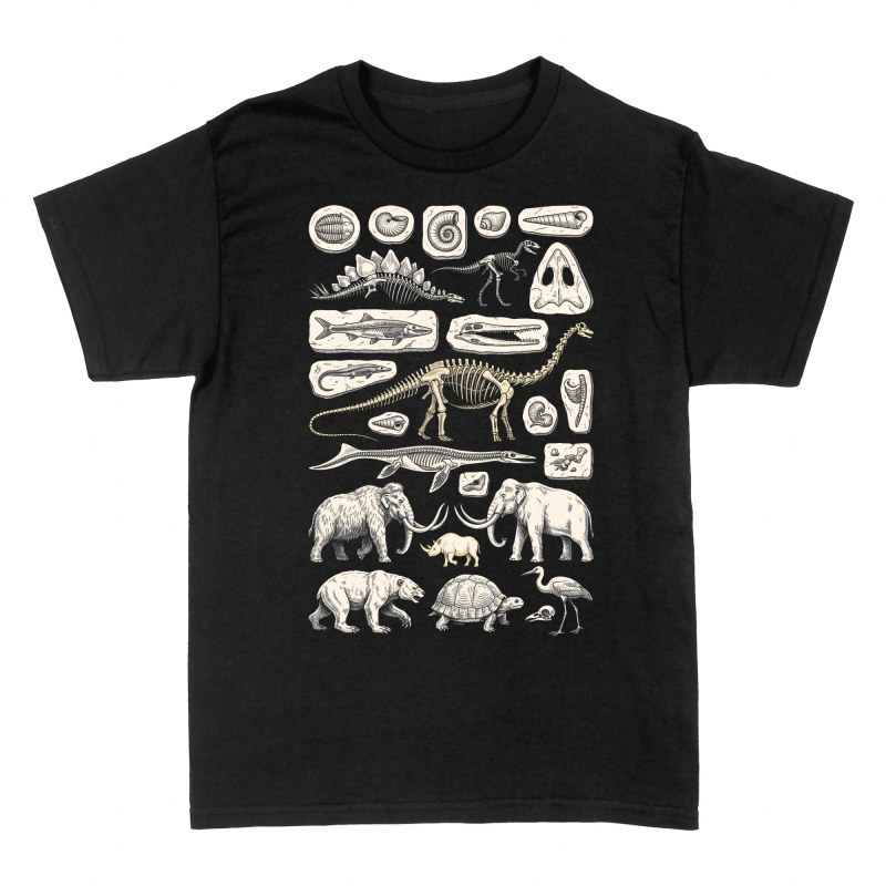 Camisetas: Colecci&oacute;n de f&oacute;siles y dinosaurios