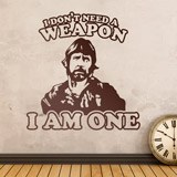 Vinilos Decorativos: Norris Weapon 2