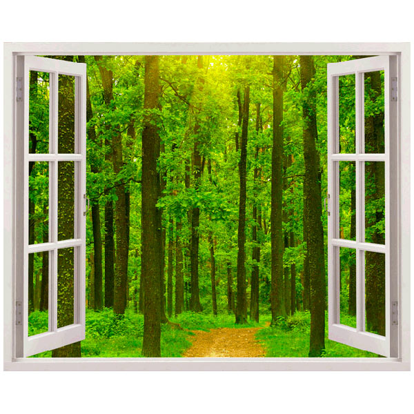 Vinilos Decorativos: Fir Forest