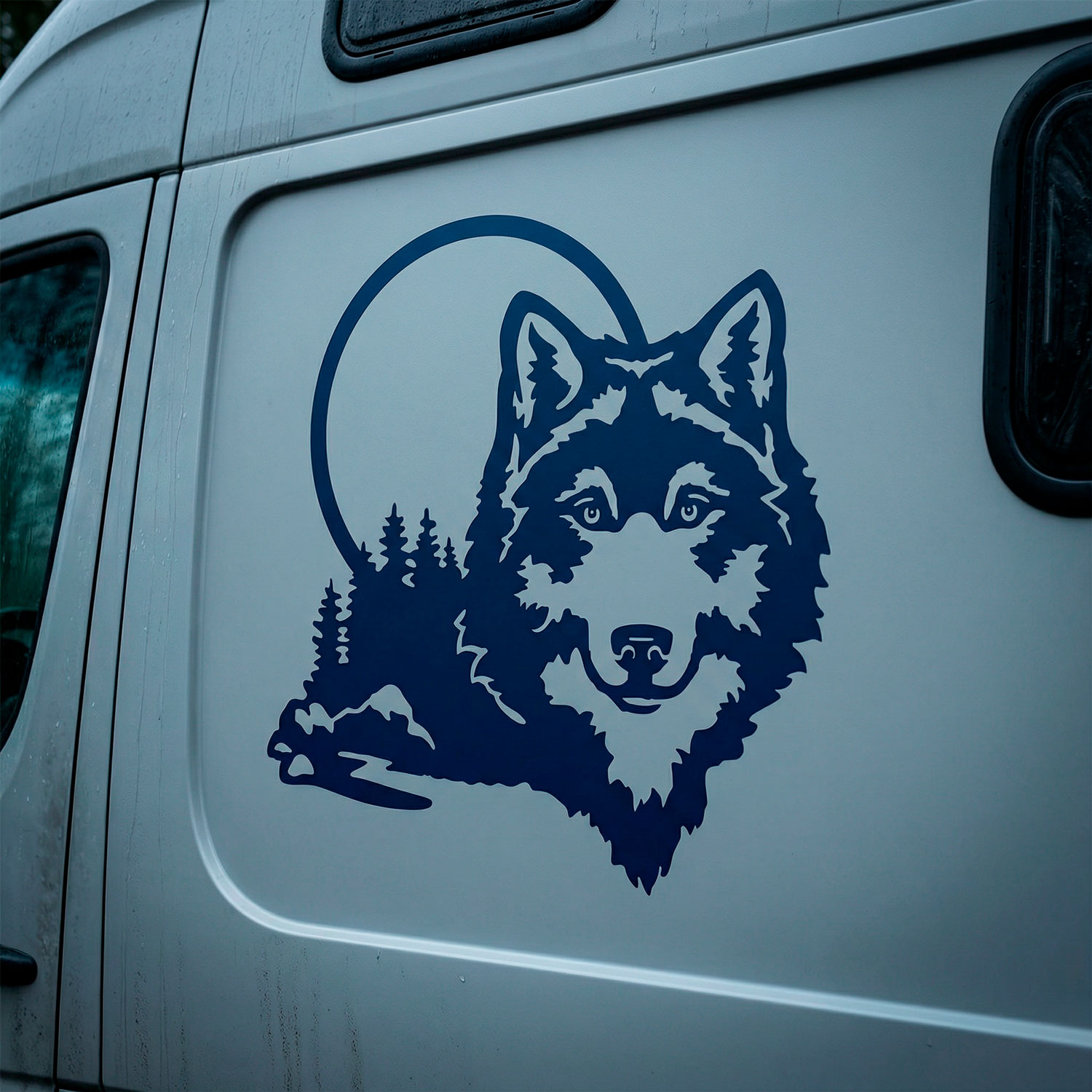 Vinilos autocaravanas: Lobo en el bosque